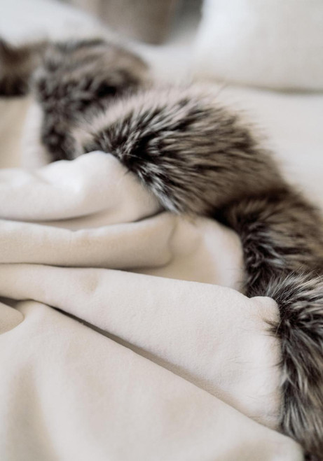 Fabulous-Furs Ivory Faux Sheared Beaver Alpine Weighted Throw 