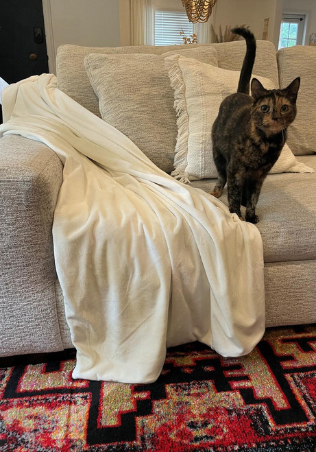  Ivory Lightweight Velvet Throw 