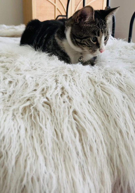 White Tibetan Lamb Faux Fur Pampered Pet Throw