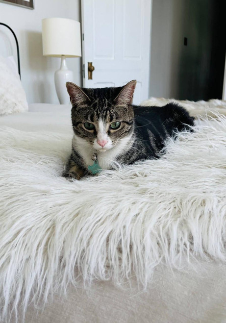 White Tibetan Lamb Faux Fur Pampered Pet Throw