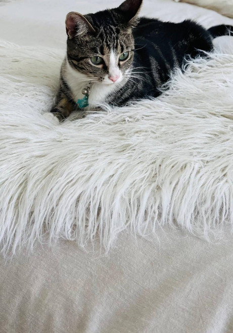 White Tibetan Lamb Faux Fur Pampered Pet Throw